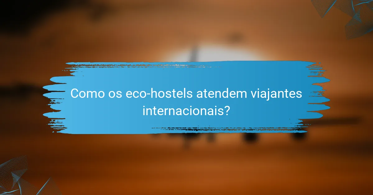 Como os eco-hostels atendem viajantes internacionais?