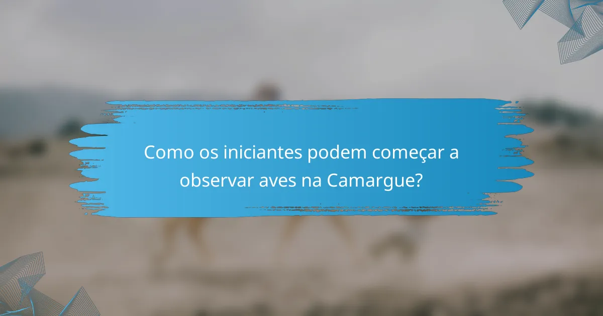 Como os iniciantes podem começar a observar aves na Camargue?
