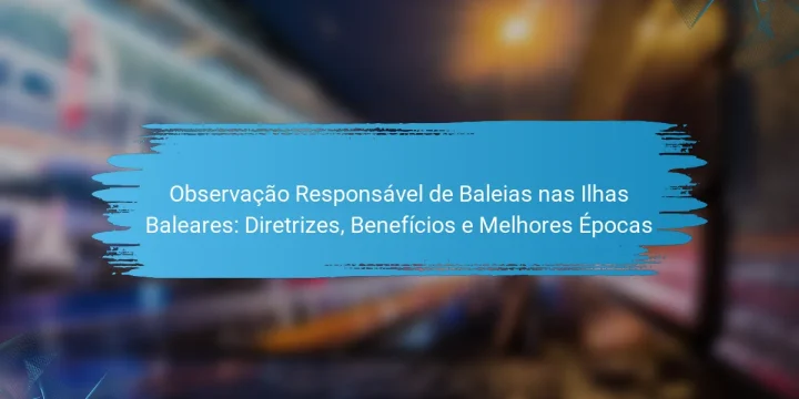 Observação Responsável de Baleias nas Ilhas Baleares: Diretrizes, Benefícios e Melhores Épocas