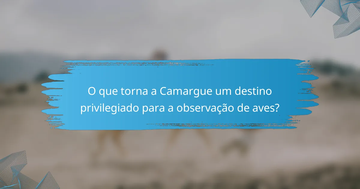 O que torna a Camargue um destino privilegiado para a observação de aves?