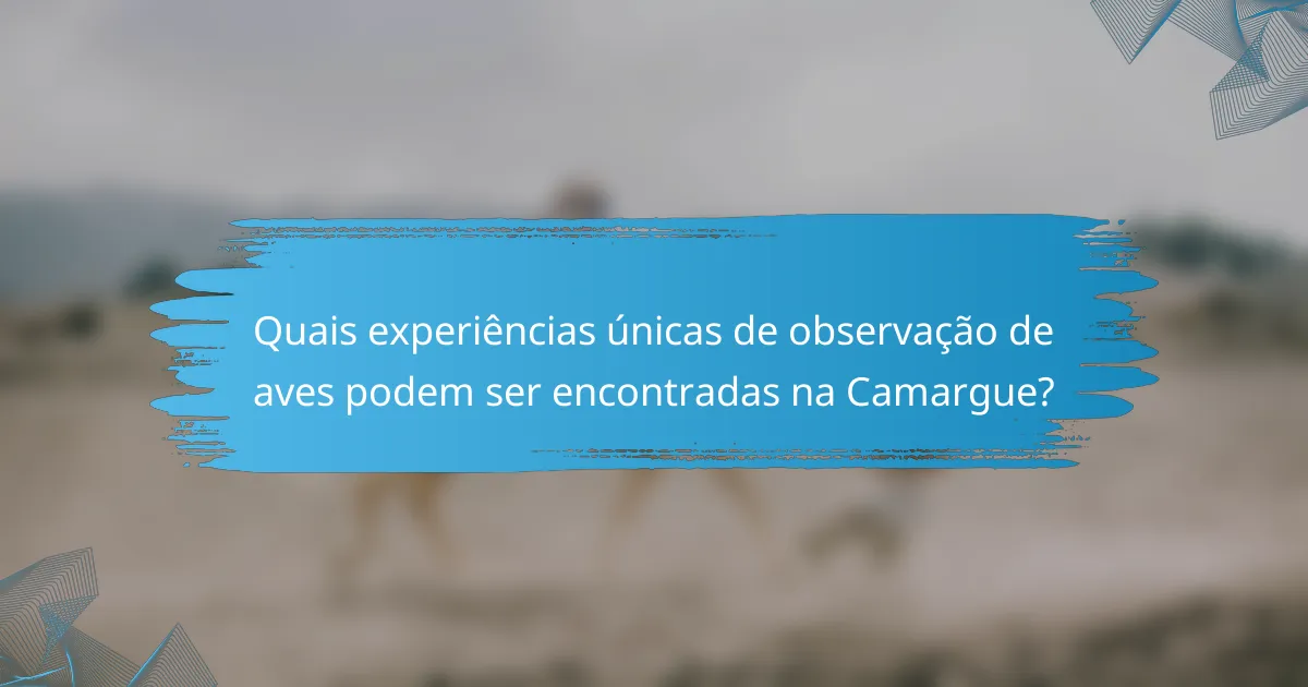 Quais experiências únicas de observação de aves podem ser encontradas na Camargue?