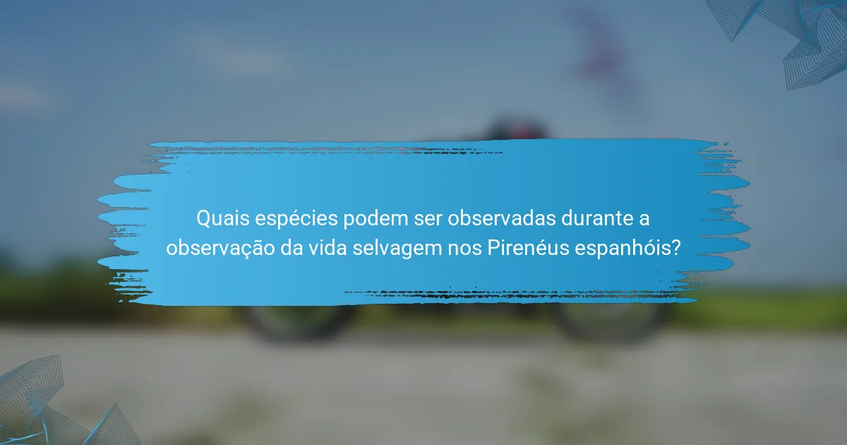 Quais espécies podem ser observadas durante a observação da vida selvagem nos Pirenéus espanhóis?