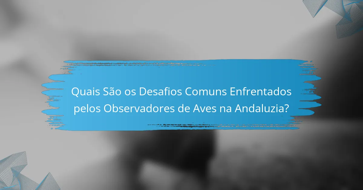 Quais São os Desafios Comuns Enfrentados pelos Observadores de Aves na Andaluzia?